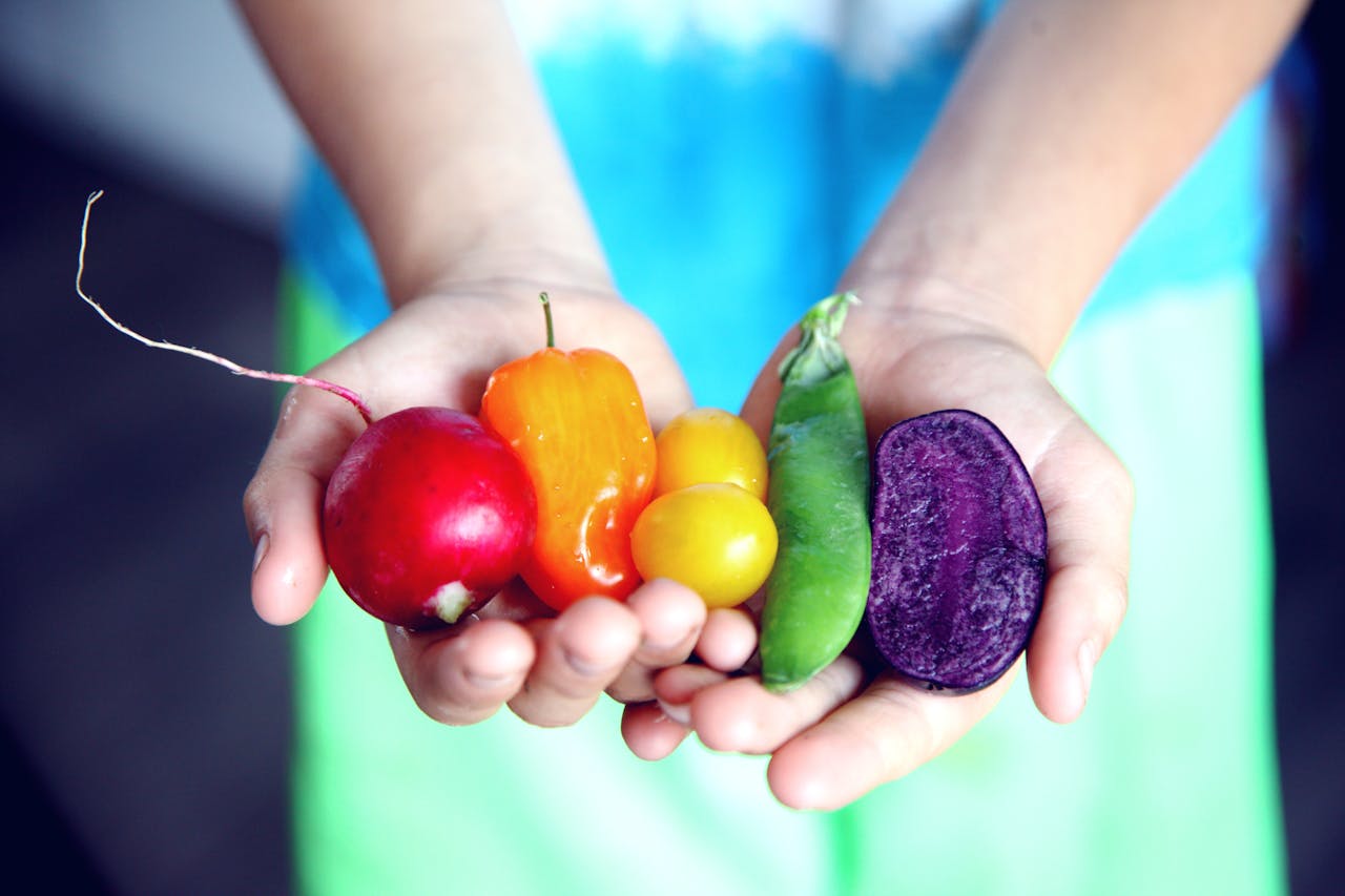 Our New Series of Nutrition Workshops